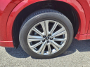 Thumbnail image of 2023 Mazda CX-5 at Pogue Automotive Group