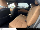 Thumbnail image of 2023 Lexus RX 350 at Stoler Lexus