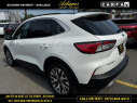 Thumbnail image of 2020 Ford Escape Hybrid at Adams Auto Group Inc