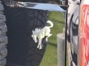 Thumbnail image of 2024 Ford Bronco at Franklin Sussex Auto Mall: Jeep Chrysler Dodge Ram