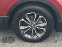Thumbnail image of 2022 Honda CR-V at Jenkins Honda of Leesburg Used