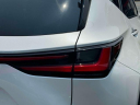 Thumbnail image of 2024 Lexus NX 350 at Lexus of Freeport