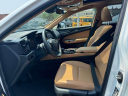 Thumbnail image of 2024 Lexus NX 350 at Lexus of Freeport