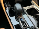 Thumbnail image of 2024 Lexus NX 350 at Lexus of Freeport