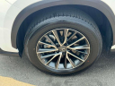 Thumbnail image of 2024 Lexus NX 350 at Lexus of Freeport
