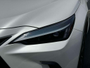 Thumbnail image of 2024 Lexus NX 350 at Lexus of Freeport