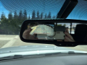 Thumbnail image of 2013 Toyota Tacoma at 7 EM Used