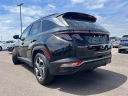 Thumbnail image of 2023 Hyundai TUCSON at Auffenberg Hyundai
