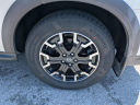 Thumbnail image of 2020 Nissan Pathfinder at Arrigo Chrysler Dodge Jeep Ram at Sawgrass