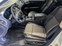 Thumbnail image of 2020 Nissan Pathfinder at Arrigo Chrysler Dodge Jeep Ram at Sawgrass