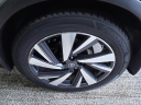 2017 Nissan Murano Platinum at Franklin Motor Company