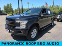Thumbnail image of 2019 Ford F-150 at Don Nester Chevrolet