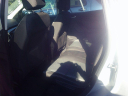 Thumbnail image of 2016 Ford Escape at LLOYD'S AUTO SALES