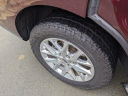 Thumbnail image of 2020 Ford Expedition at CrossroadsFord of Apex - NEW