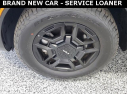 Thumbnail image of 2024 Kia Sorento at Seelye Kia of Kalamazoo