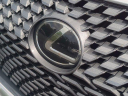 Thumbnail image of 2020 Lexus RX 350 at Ritchey Cadillac Buick GMC - NEW