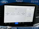Thumbnail image of 2025 Ford F-150 at Northgate Ford Lincoln