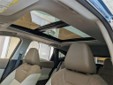 Thumbnail image of 2025 Nissan Murano at Lee Nissan