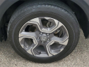 Thumbnail image of 2019 Honda CR-V at LaFontaine Infiniti of Ann Arbor