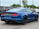 Thumbnail image of 2018 Ford Mustang at Lasco Ford