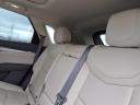 Thumbnail image of 2020 Cadillac XT5 at Mt. Moriah Auto Sales, Inc.