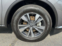 Thumbnail image of 2023 Nissan Murano at USED - Haley Toyota Certified Service Center