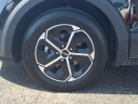 Thumbnail image of 2024 Kia Niro at Kings Kia