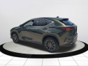 Thumbnail image of 2024 Lexus NX 250 at GermainLexus-New of Naples, FL