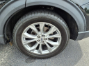 Thumbnail image of 2020 Ford Explorer at Champion Ford