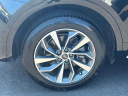 Thumbnail image of 2022 Audi Q5 at Nissan of Westbury