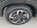 Thumbnail image of 2025 Subaru Forester at Kia of Grand Blanc
