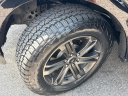 Thumbnail image of 2021 Ford F-150 at Harry's On The Hill