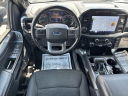 Thumbnail image of 2021 Ford F-150 at Harry's On The Hill