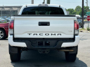 Thumbnail image of 2020 Toyota Tacoma at Champion Auto Sales of Hillside LLC