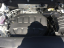 Thumbnail image of 2025 Volkswagen Atlas at O'Connor Volkswagen - New and Used