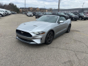 Thumbnail image of 2023 Ford Mustang at Lafontaine Ford Grand Rapids