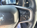 Thumbnail image of 2024 Ford Bronco at UltimateFord of Mountain Home, AR