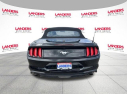 Thumbnail image of 2023 Ford Mustang at Landers Ford North