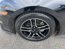 Thumbnail image of 2023 Ford Mustang at Landers Ford North