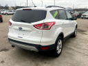 Thumbnail image of 2014 Ford Escape at Showcase Auto Sales LLC
