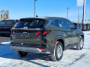 Thumbnail image of 2025 Hyundai TUCSON at Bob Brady Auto Mall