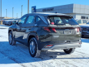Thumbnail image of 2025 Hyundai TUCSON at Bob Brady Auto Mall