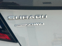 Thumbnail image of 2024 Subaru WRX at Wayne Akers Ford