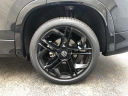 Thumbnail image of 2025 Volkswagen Tiguan at Coastal Volkswagen
