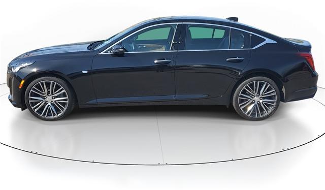 Thumbnail image of 2022 Cadillac CT5 at Al Serra Cadillac