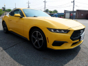 Thumbnail image of 2024 Ford Mustang at DK Auto Imports, Roselle