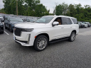 Thumbnail image of 2021 Cadillac Escalade at Bob Davidson Ford Lincoln Mercury USED