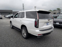 Thumbnail image of 2021 Cadillac Escalade at Bob Davidson Ford Lincoln Mercury USED