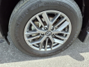 Thumbnail image of 2023 Nissan Rogue at Dutch Miller Nissan