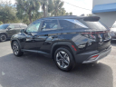 Thumbnail image of 2025 Hyundai TUCSON at Coastal Hyundai